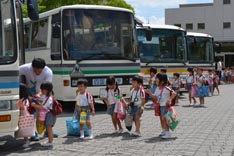 四国 コレクション 大学 バス